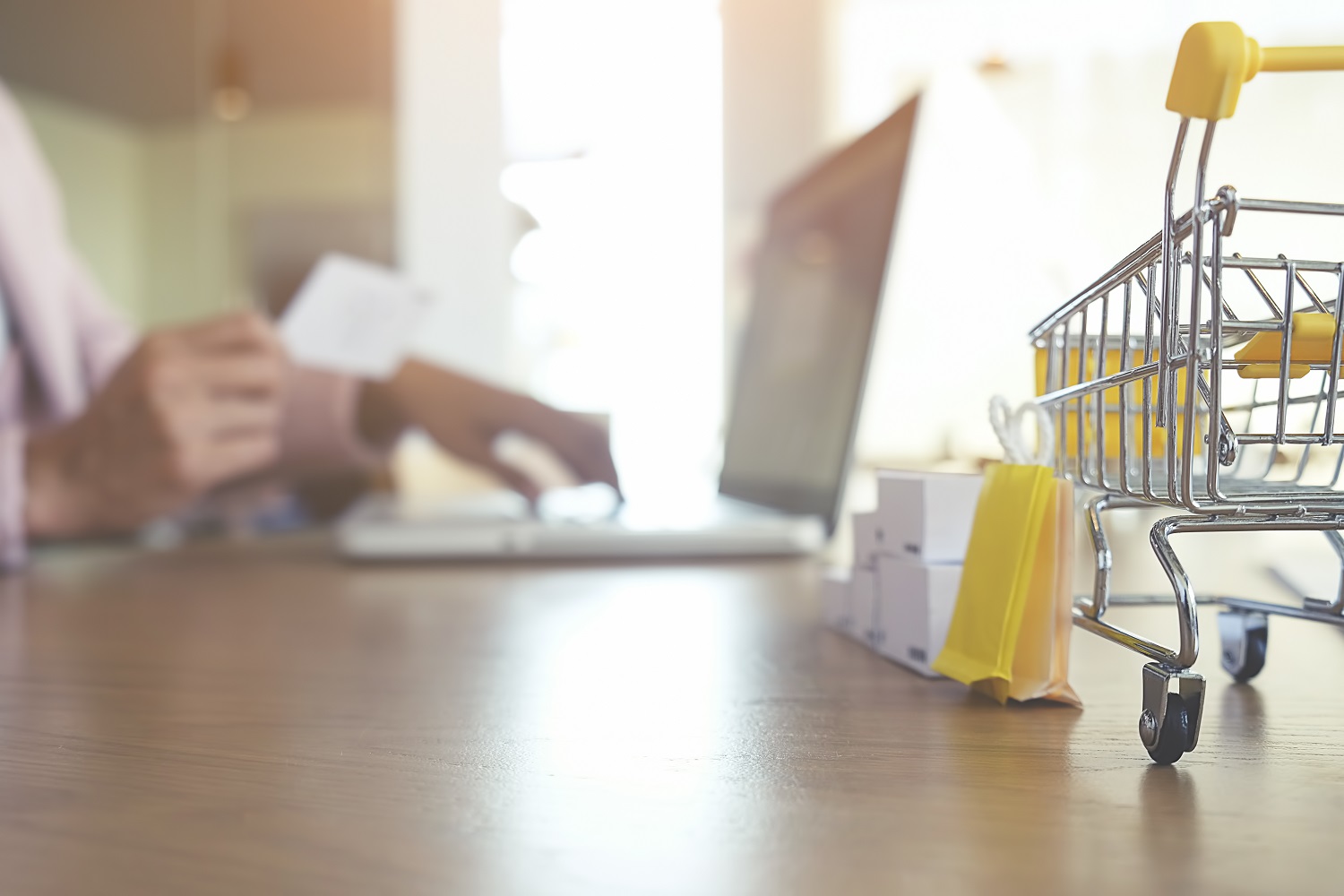 ecommerce website designing in delhi / ecommerce website development company in delhi / ecommerce website designers in delhi / ecommerce website design and development in delhi