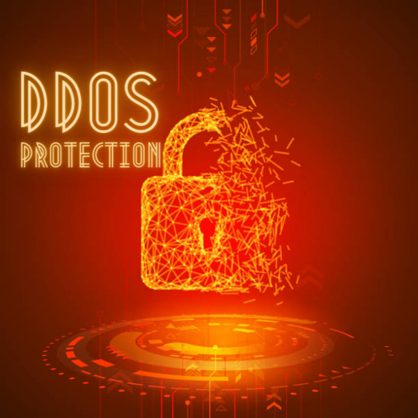 ddos protection