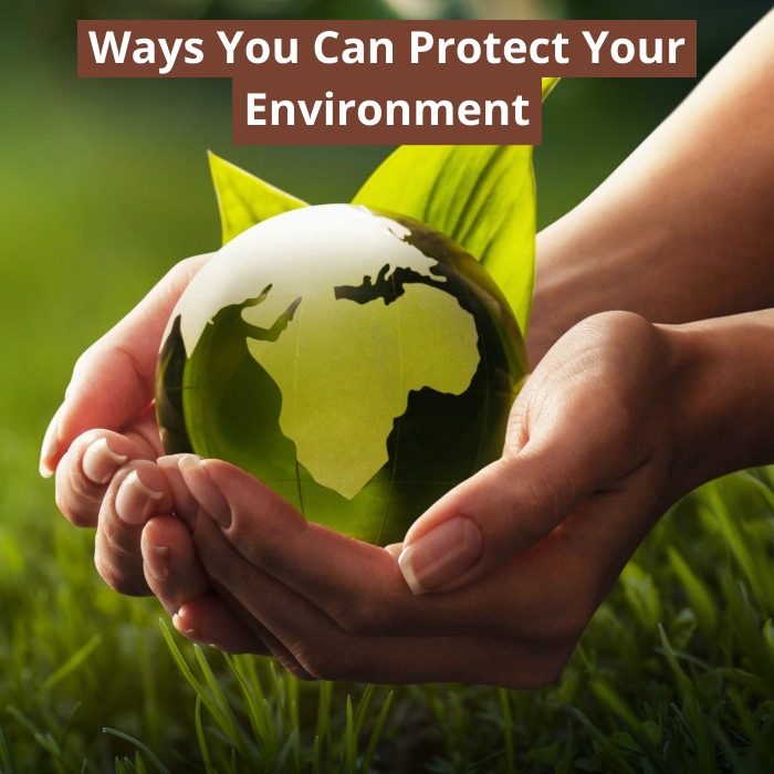 Ways You Can Protect Your Environment