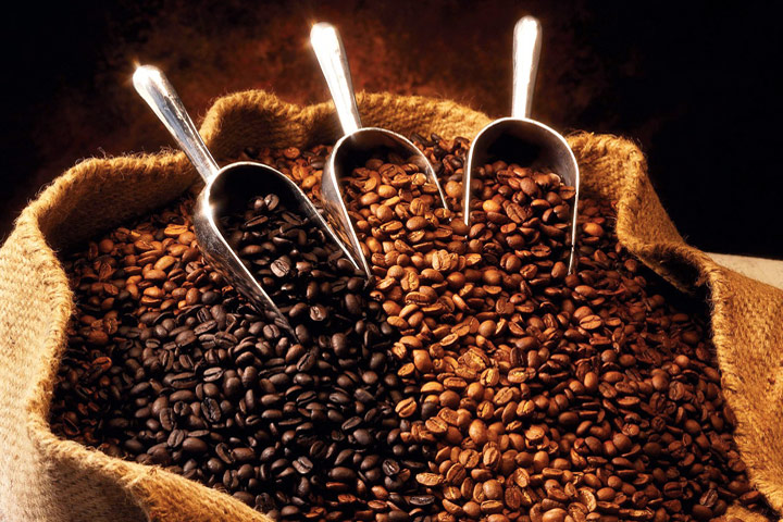 Best Most Useful Exotic Coffee Brands 2021