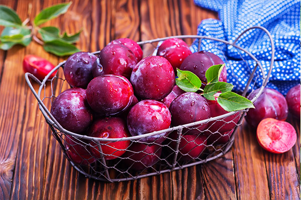How to Grow Plums Fruit in India With Essential Information