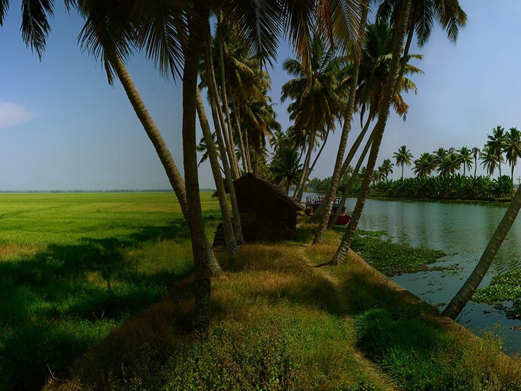 INTERESTING THINGS TO DO IN KUMARAKOM IN 2021