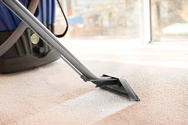 5 Tips for Hiring Professional Carpet Cleaning in Ashfield