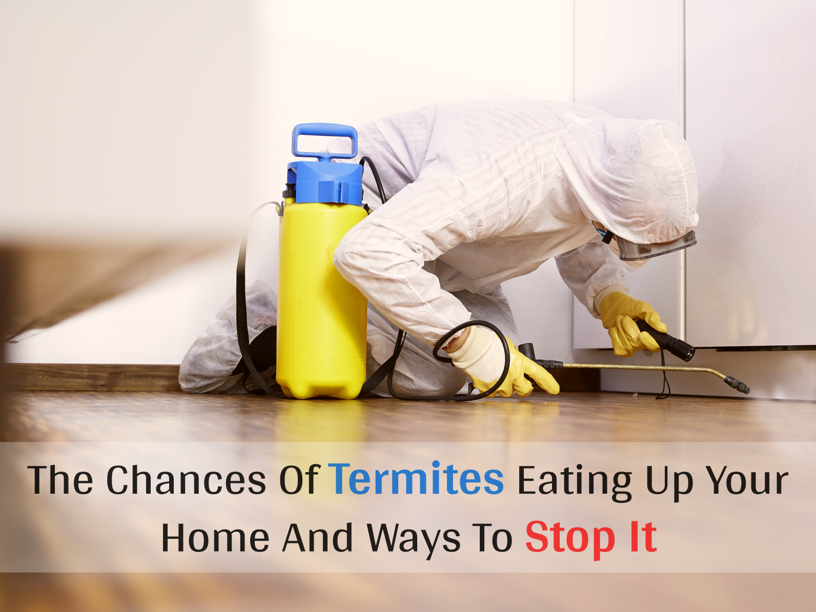 The Chances Of Termites Eating Up Your Home And Ways To Stop It