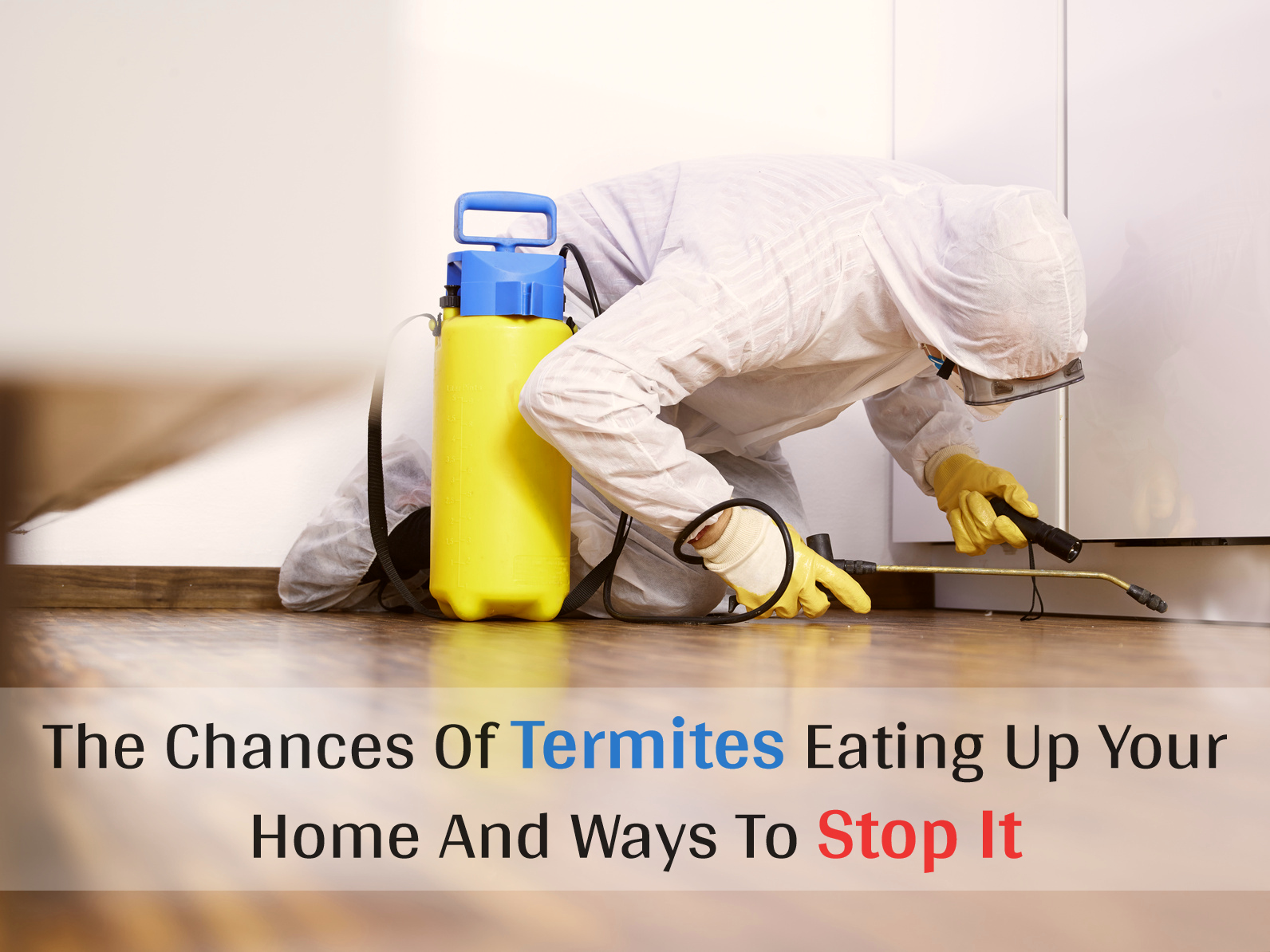 home termite inspection near me
