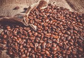 Profitable Coffee Production In India With Varieties