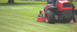 Lawn Mowing Gold Coast