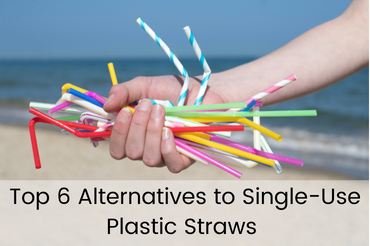 Top 6 Alternatives to Single-Use Plastic Straws