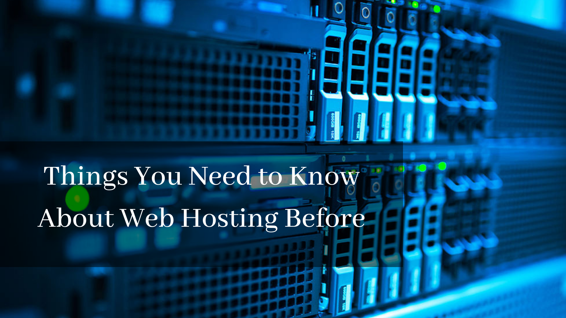 Top Things You Need to Know About Web Hosting Before