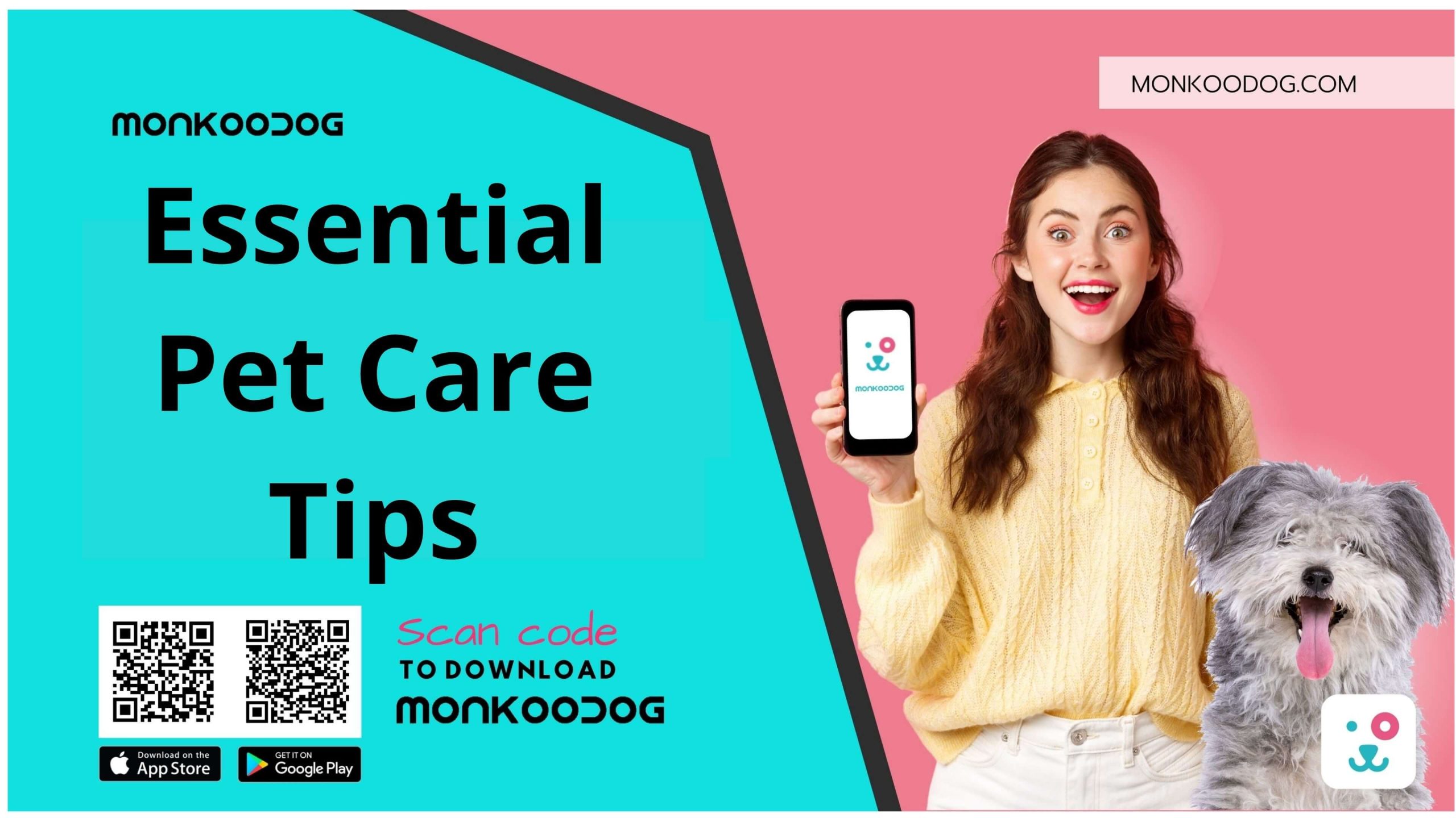 Pet Care Tips - Monkoodog