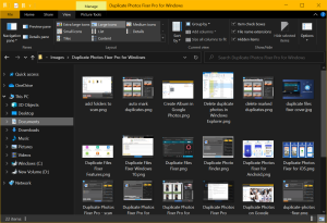 Windows Explorer large Icons