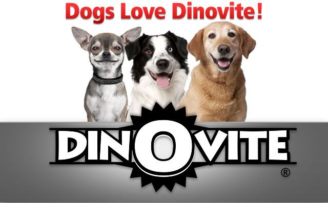 Dietary Supplements For Healthy Pets: Dinovite For Dogs And Cats