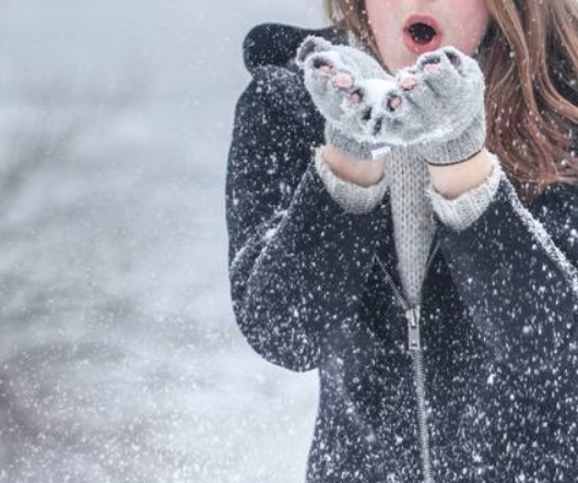 The warmest wool coats (which wool is the warmest)