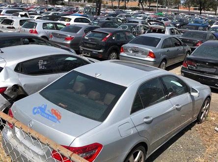 Used-Cars