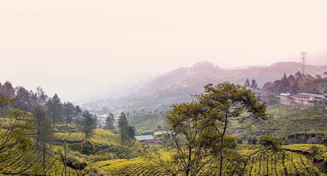 Bogor-Indonesia